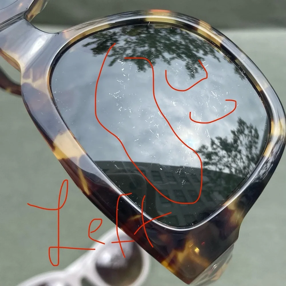 🍒Linda Farrow x Dries Van Noten Collab x Gallery Tortoise Shell Sunglasses Case